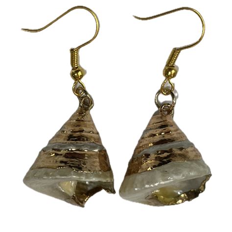 Natural Seashell Gold Trim Earrings Seashell Story Kaikoura