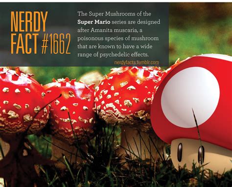 Amanita Muscaria Mario