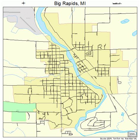 big rapids michigan street map