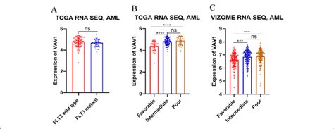 Relationship between VAV1 Expression and clinical characteristics of ...