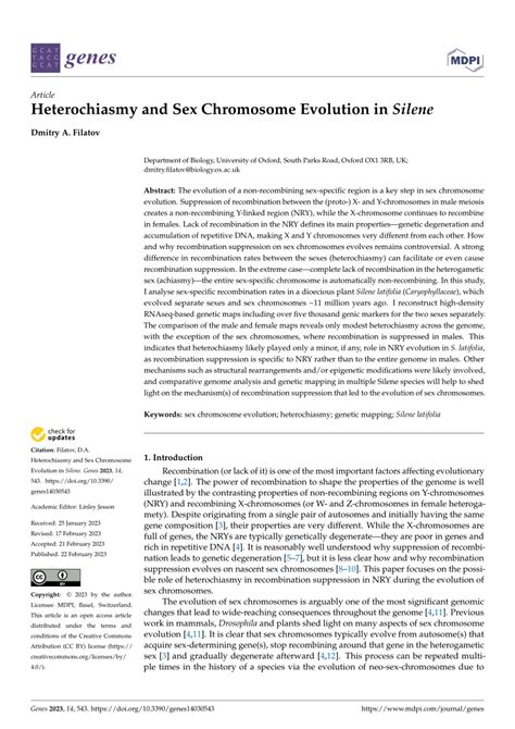 PDF Heterochiasmy And Sex Chromosome Evolution In Silene