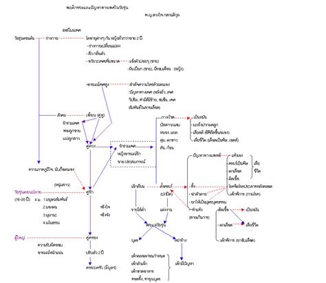 Clinicrak Thai Sex Lady