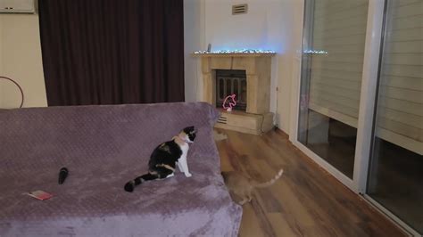 Firtsbornunicorn Big Tits Big Boobs Big Breast Suck Tits