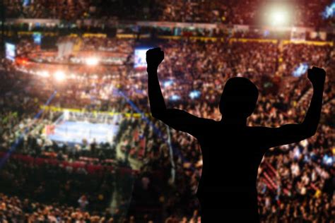 30+ Boxing Ring Crowd Stock Photos, Pictures & Royalty-Free Images - iStock