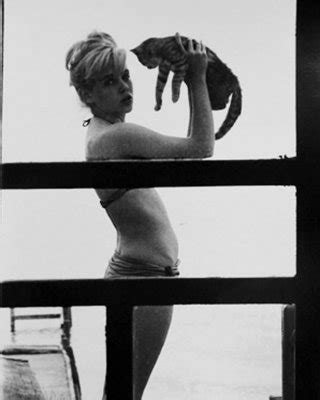 Sue Lyon Porn Pictures XXX Photos Sex Images 3918728 PICTOA