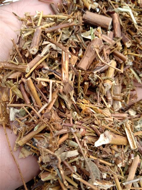 贯叶金丝桃中药材贯叶连翘小过路黄千层楼小对月草500克实物虎窝淘