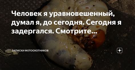 Человек я уравновешенный, думал я, до сегодня. Сегодня я задергался ...