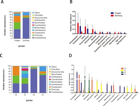 The Relative Abundance Of Gut Microbial A C In Phylum Level The Top