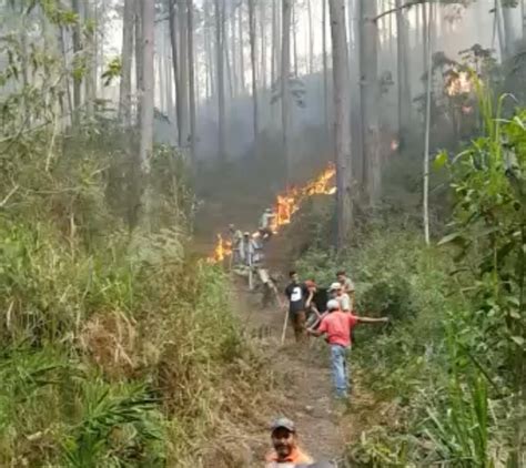 Unas 138 hectáreas de bosque se han quemado en el Occidente de Honduras