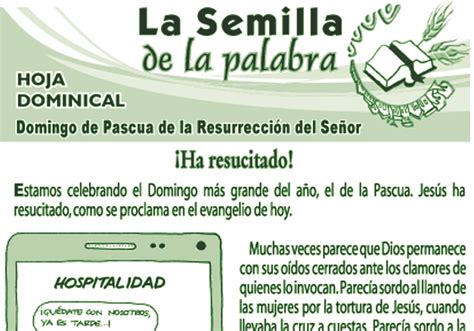 Semilla de la Palabra, domingo 9 de abril de 2023 – El Puente
