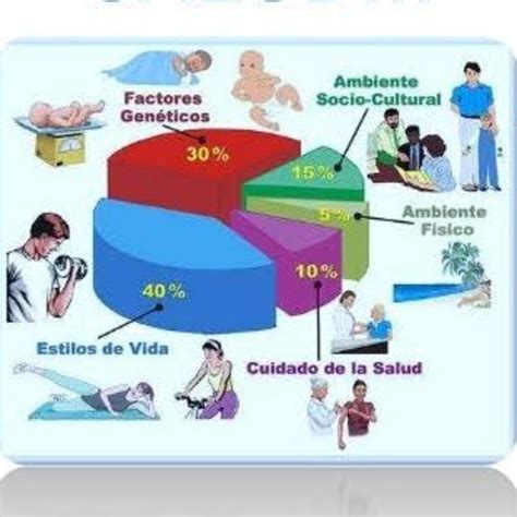 Factores Determinantes De La Salud Factores Determinantes De La Salud