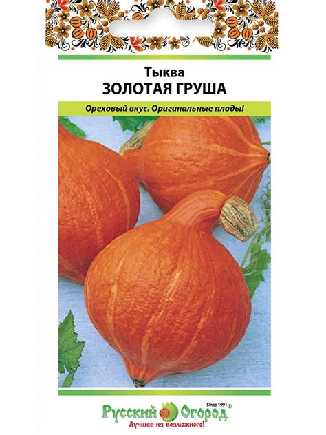 Тыква грушевидная сорта (60 фото)