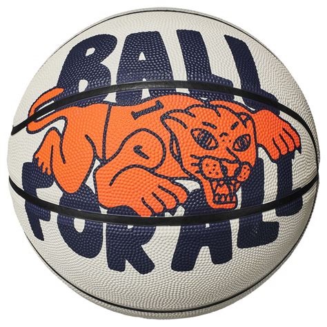 Ballon Nike Everyday Playground Graphic Ball For All Light Bone ...