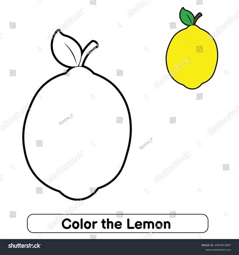Lemon Trace Over 1045 Royalty Free Licensable Stock Illustrations