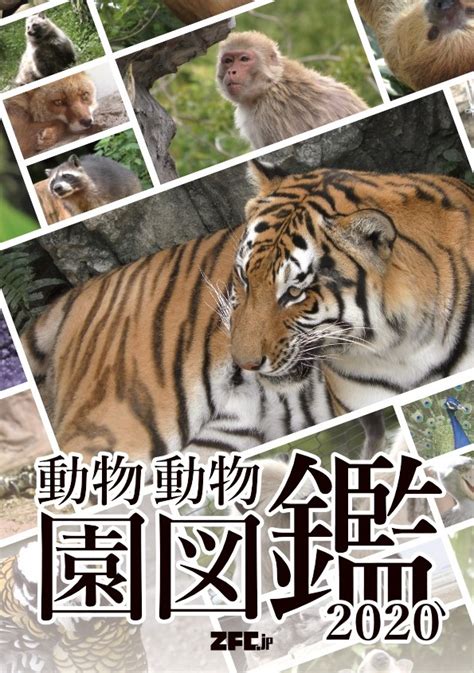 zfcjp