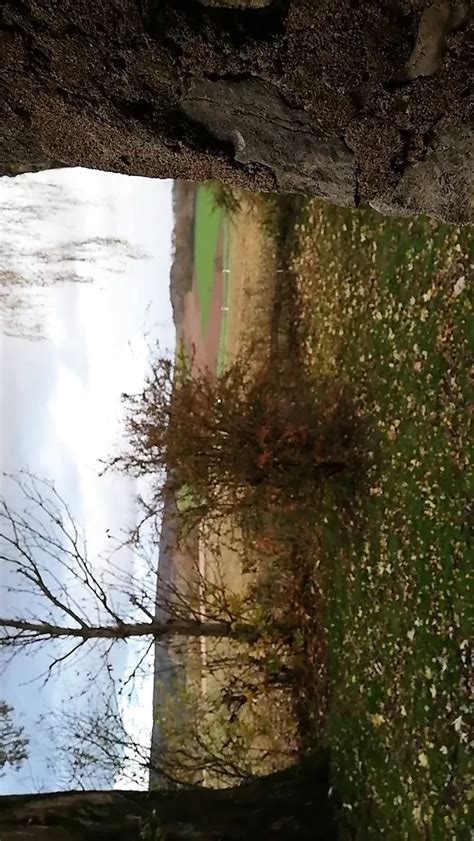 Outdoor Wank And Cum In Public Gay Man Man Porn Feat Skorpion2410 XHamster