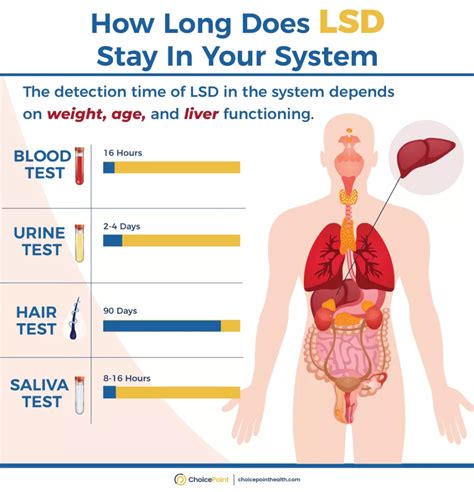 Lsd Quanto Tempo Dura - How Long Does LSD Stay In Your System? - ChoicePoint