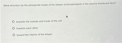 Solved What direction do the phosphate heads of the bilayer | Chegg.com