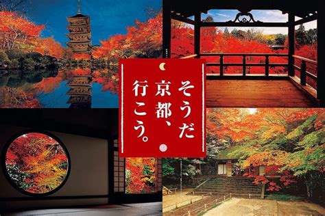 Jr東海「そうだ 京都、行こう。」は今年で30年！専任カメラマン高崎勝二さんが撮り続けた京都社寺“至宝の紅葉”舞台ウラを語る ライブドアニュース