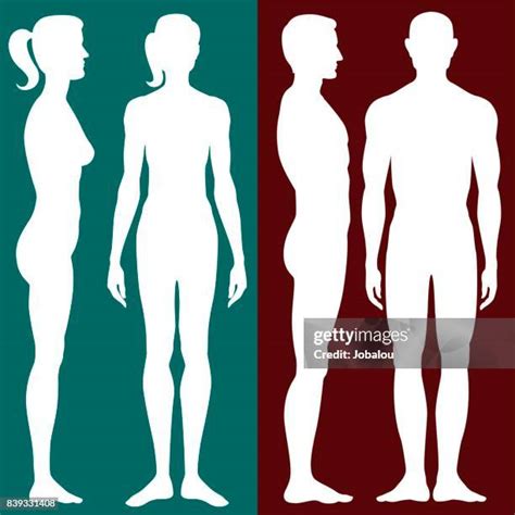 18295 Human Body Outline High Res Illustrations Getty Images