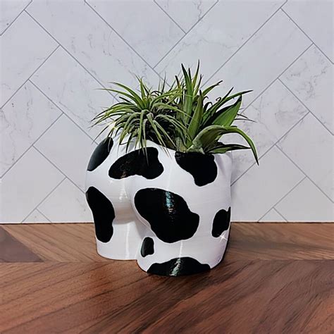 Oat Milk 4 Inch Peachy Butt Planter Sustainable 3D Printed Etsy