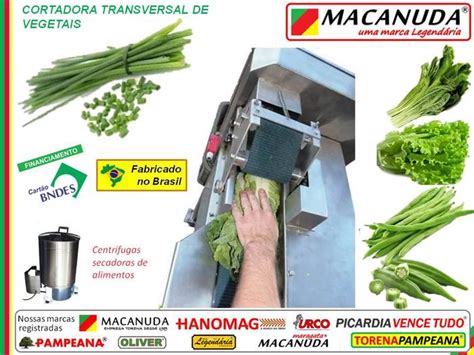 MÁQUINA PROFISSIONAL DE CORTAR CEBOLINHA VERDE MARCA CIMM