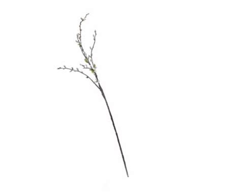 Silkcraft Artificial Pussy Willow Stem In Ralphs