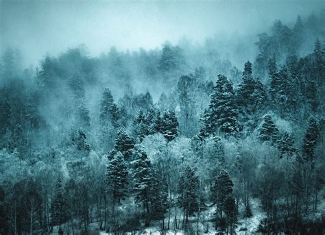 Siberia — New East Digital Archive