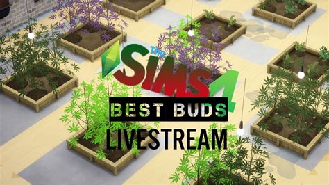 ItsmeTroi — BEST BUDS | WEED MOD | THE SIMS 4 LIVESTREAM