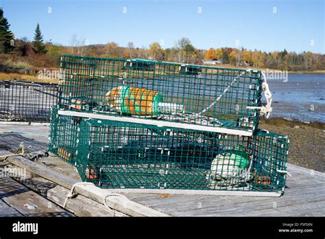 Wire Lobster Traps Hi Res Stock Photography And Images Alamy