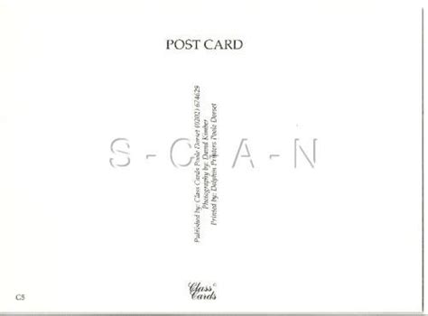 Original Nude British Pinup Pc Bikini Bottom Kneels On The Sandy Beach Butt