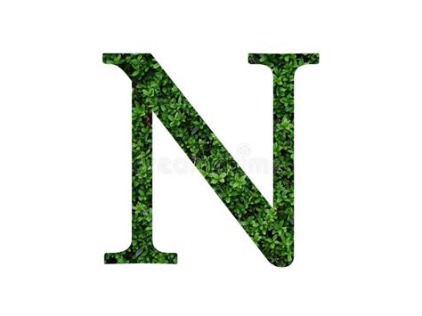 Letter N Of The Alphabet Made With Green Leaves Stock Image Image Of