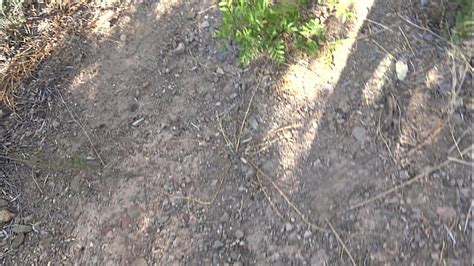 V Deos Miron Voyeur Xvideos