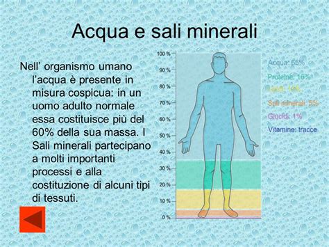 Sali Minerali Nell Acqua Termosifoni In Ghisa Scheda Tecnica