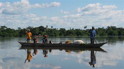 republic  congo rainforest foundation uk