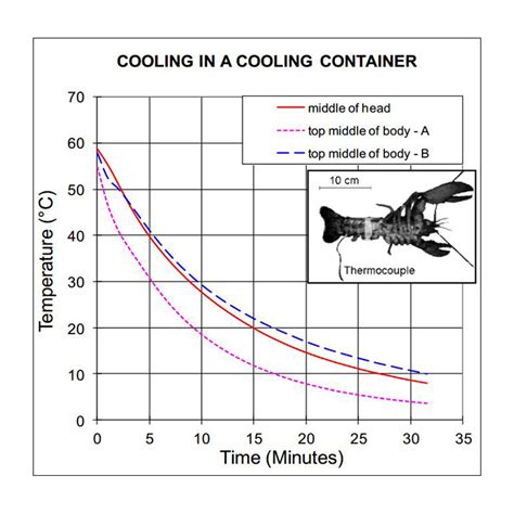 Preserve Lobster Freshness with Deepchill® Slurry Ice Tech