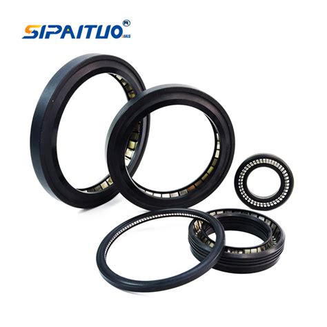 Ptfe Peek Material Rotary Seal Spring Energized Seals Spring Loaded