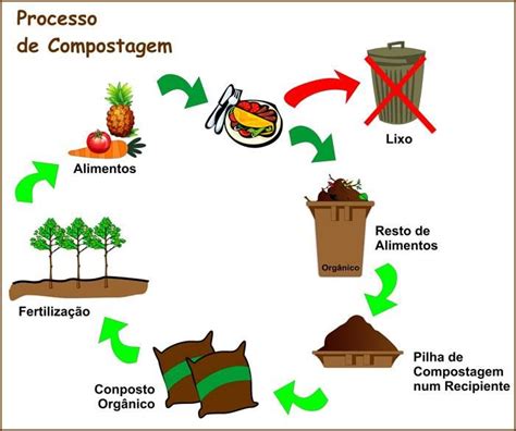 Compostagem Dom Stica Realizado Atrav S De Microrganismos Que