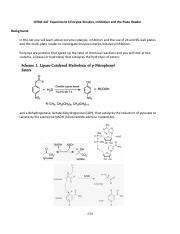 Understanding Enzyme Kinetics And Inhibition In Biochemistry Course Hero