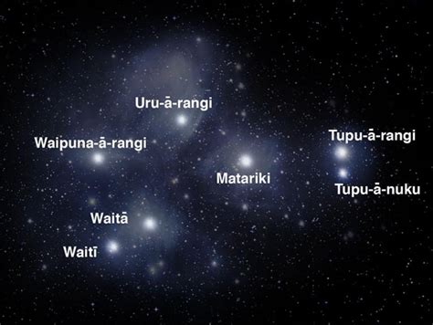 thoughtful matariki flowers  gift ideas auckland