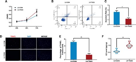 Frontiers | TOX3 Promotes Ovarian Estrogen Synthesis: An RNA-Sequencing ...