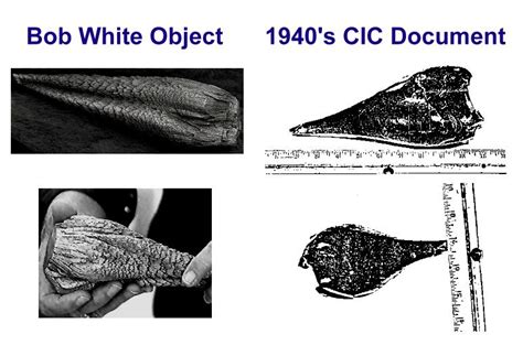 Extraterrestrial Evidence Bob White And The Ufo Artifact Rufos