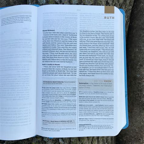 ESV Student Study Bible, TruTone, Sky Blue with Ivy Design