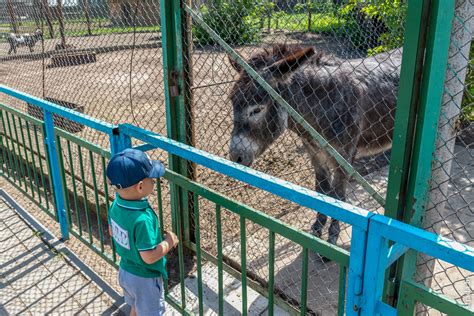 Октябрьский зоопарк / Истории / Путешествия по Беларуси
