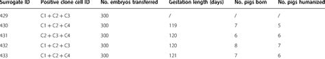 SCNT results for the generation of gene-targeted pigs | Download ...