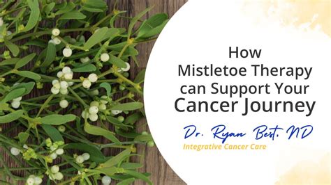 How Mistletoe Therapy Can Support Your Cancer Journey Cc Youtube