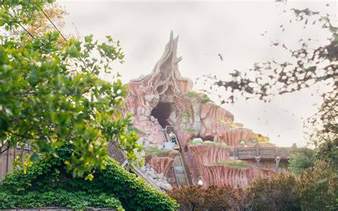 entradas tokyo disney resort acceso  disneyland  disneysea