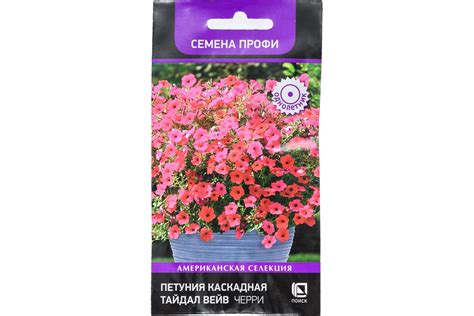 Петуния Агрохолдинг ПОИСК каскадная Тайдал Вейв Черри 5шт 816774 ...