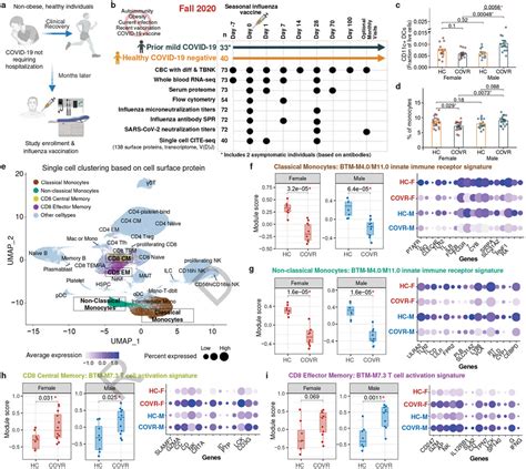 Influenza Vaccination Reveals Sex Dimorphic Imprints Of Prior Mild COVID PMC
