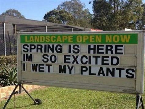 15 Funny Memes About Spring